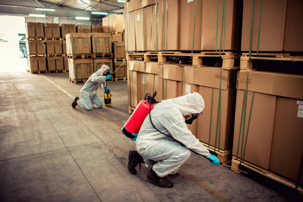 Best Emergency Pest Control  in Madeira Beach, FL