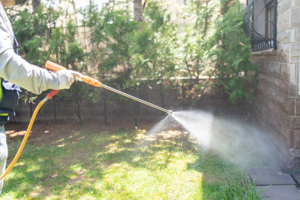 Best Affordable Pest Control Services  in Madeira Beach, FL
