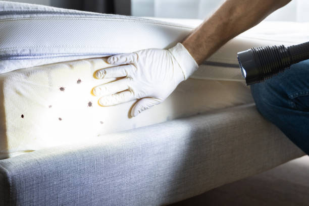 Best Wildlife Control Services  in Madeira Beach, FL