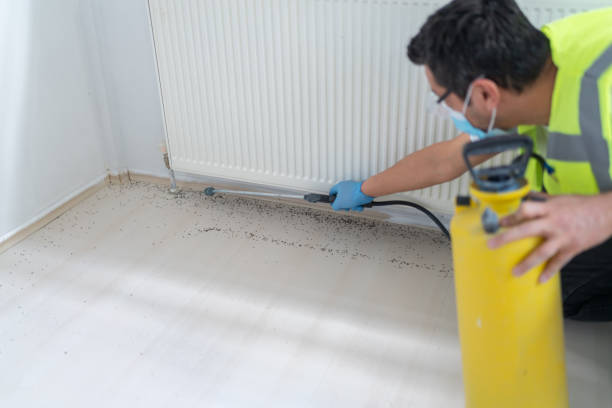 Best Pest Prevention Services  in Madeira Beach, FL